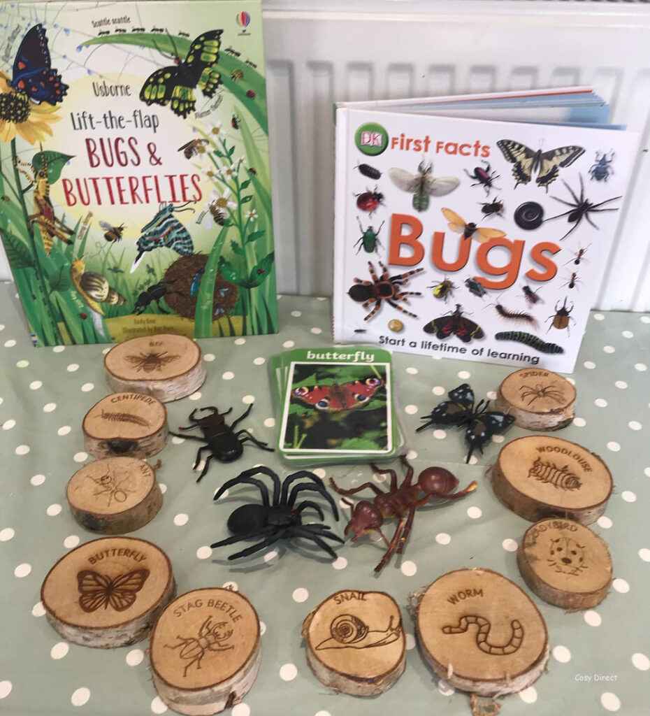 book play - insects