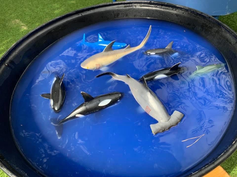 tray play - ark Group - sea life, water play