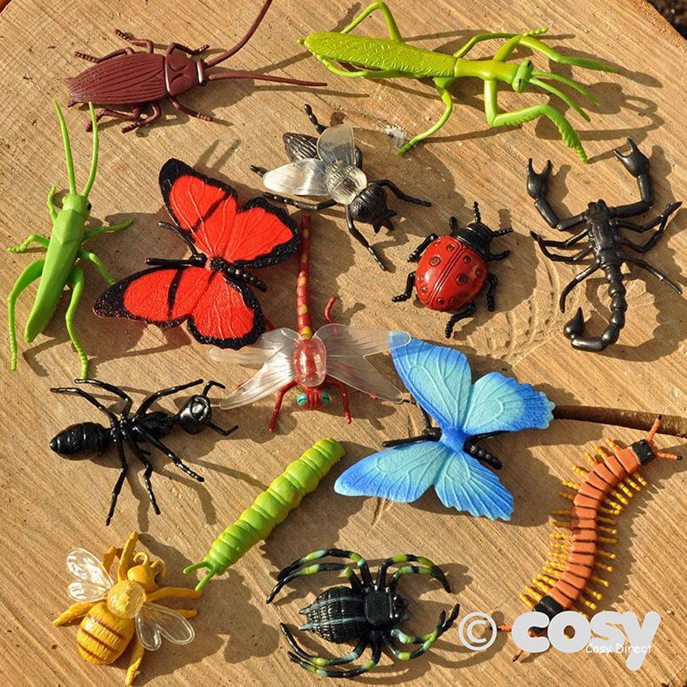 minibeasts, bugs and insects